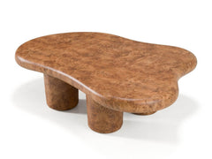 Modrest Weskan - Modern Faux Burl Coffee Table - Arial View of Faux-Burl Table Top 2